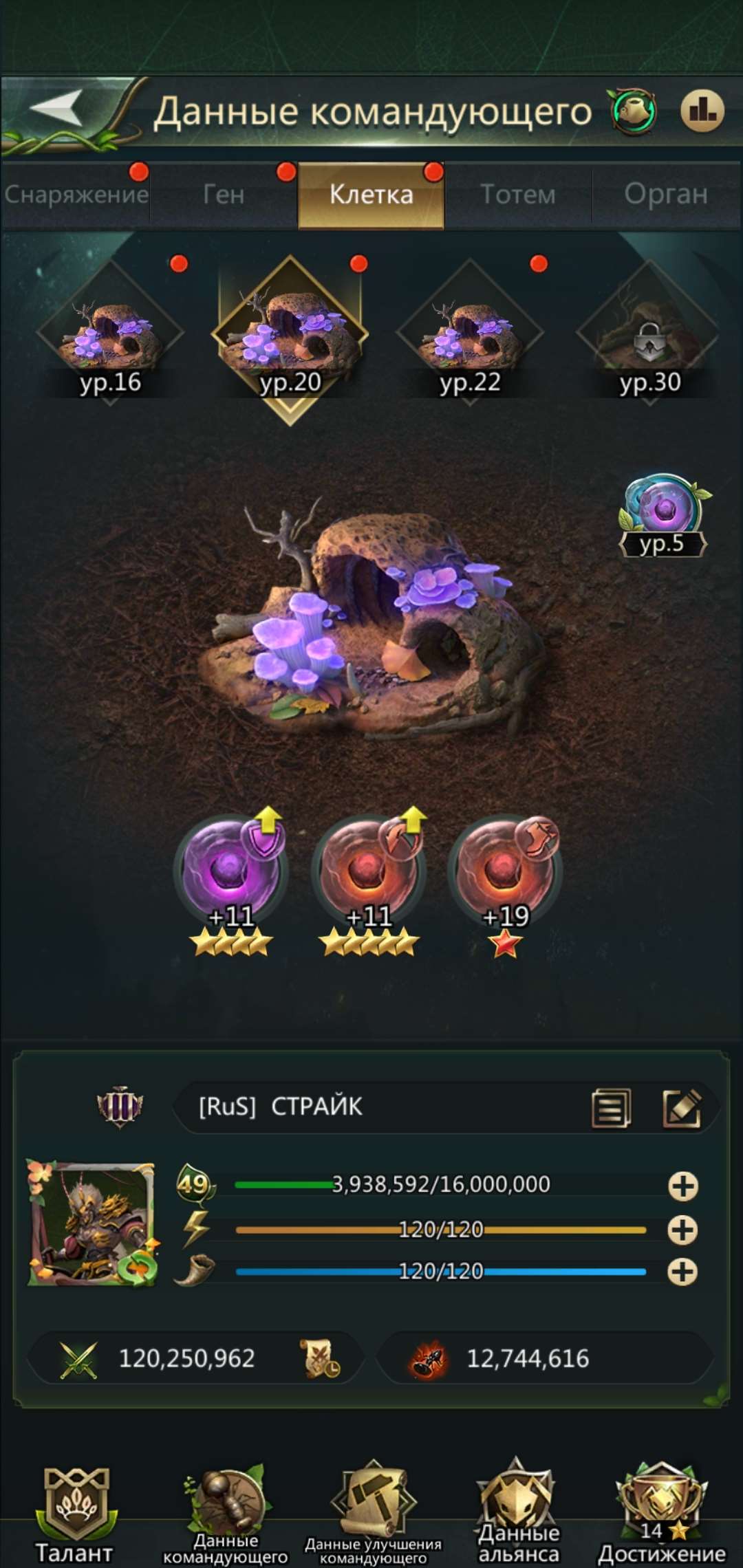 Скриншоты к игре Ant Legion продажа аккаунта к игре Ant Legion